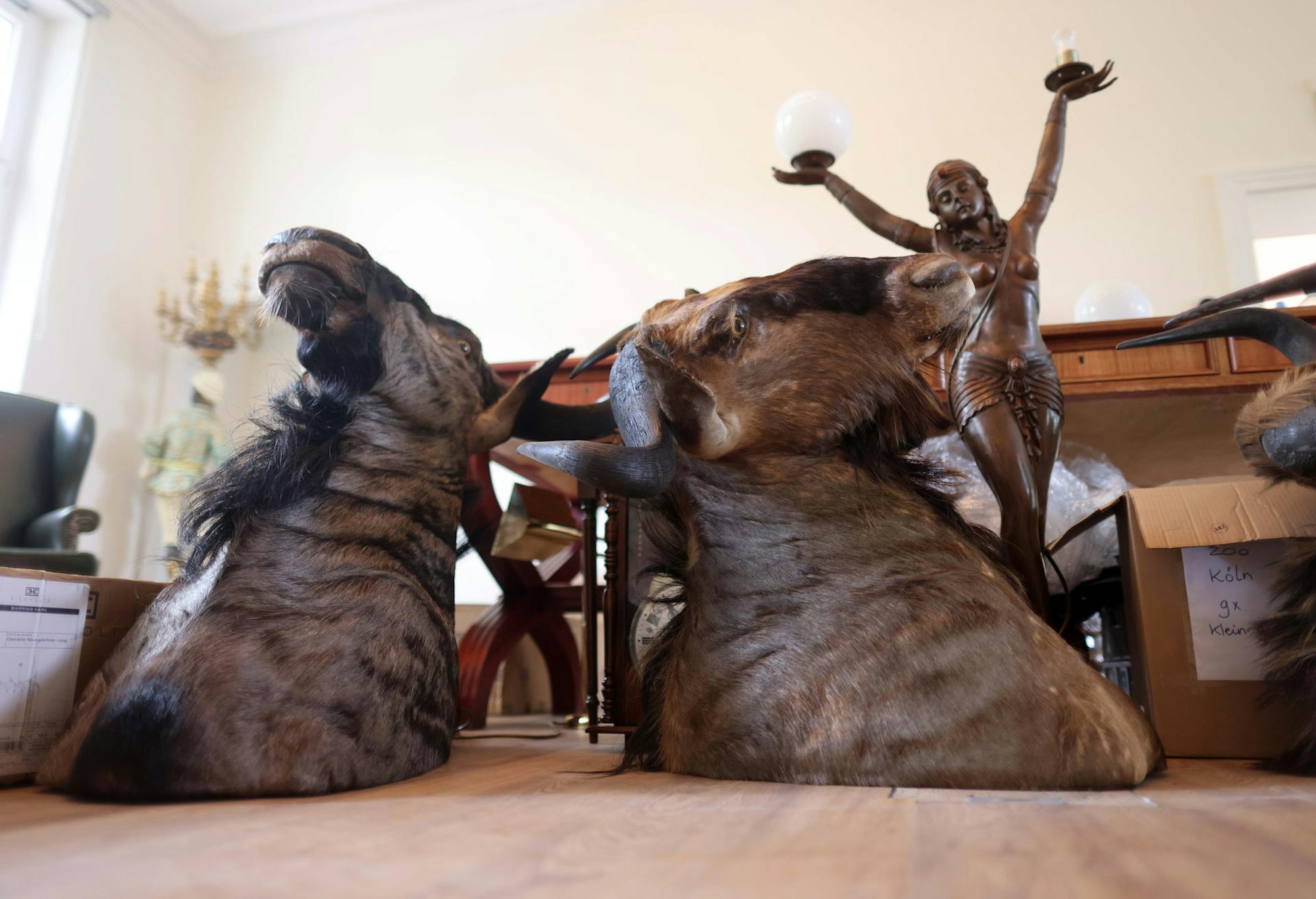 nab220609_Zoo_Direktorenvilla_02