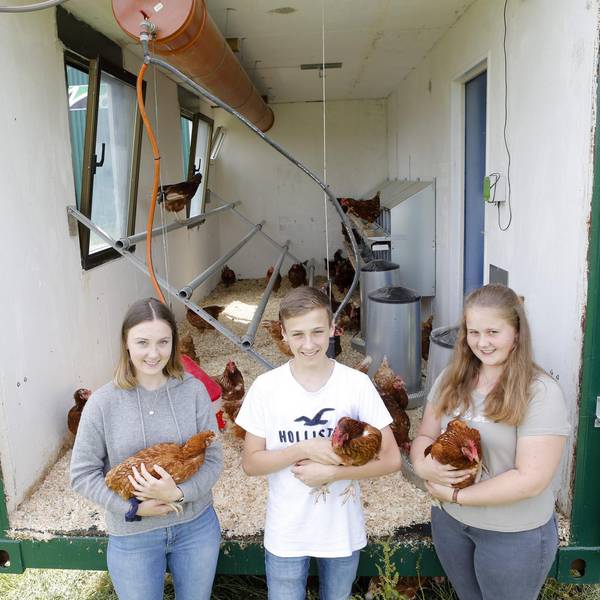 ladyfarm_jcs_001