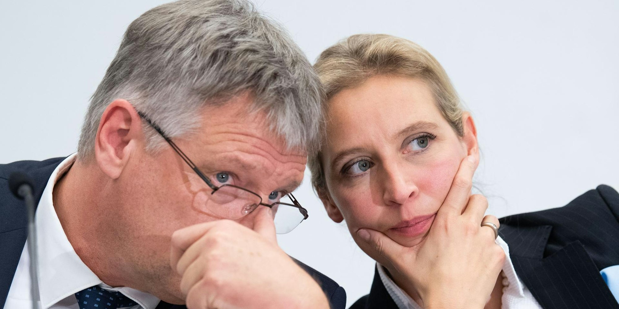 Alice Weidel_Jörg Meuthen