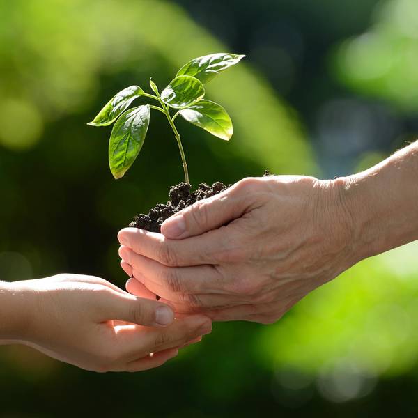 GettyImages große Hand hält Erde mit Pflanze, kleine darunter Symbol_Credit_
