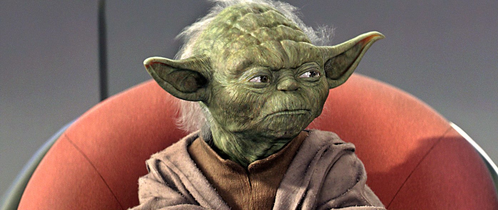 Foto Yoda