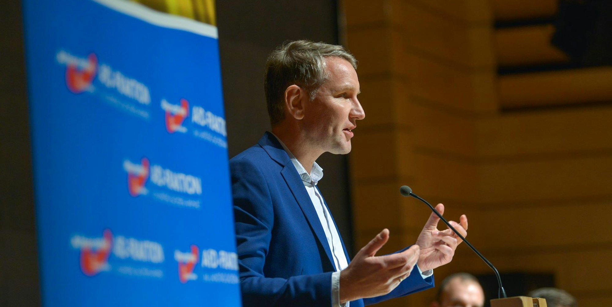 Björn Höcke 300120