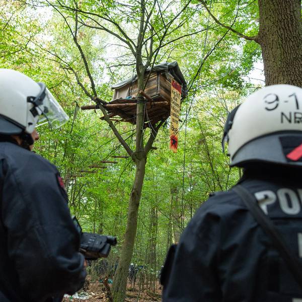 Polizei vor Baumhaus Hambacher Forst