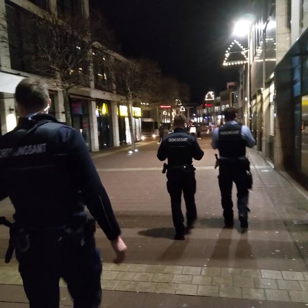Silvester4