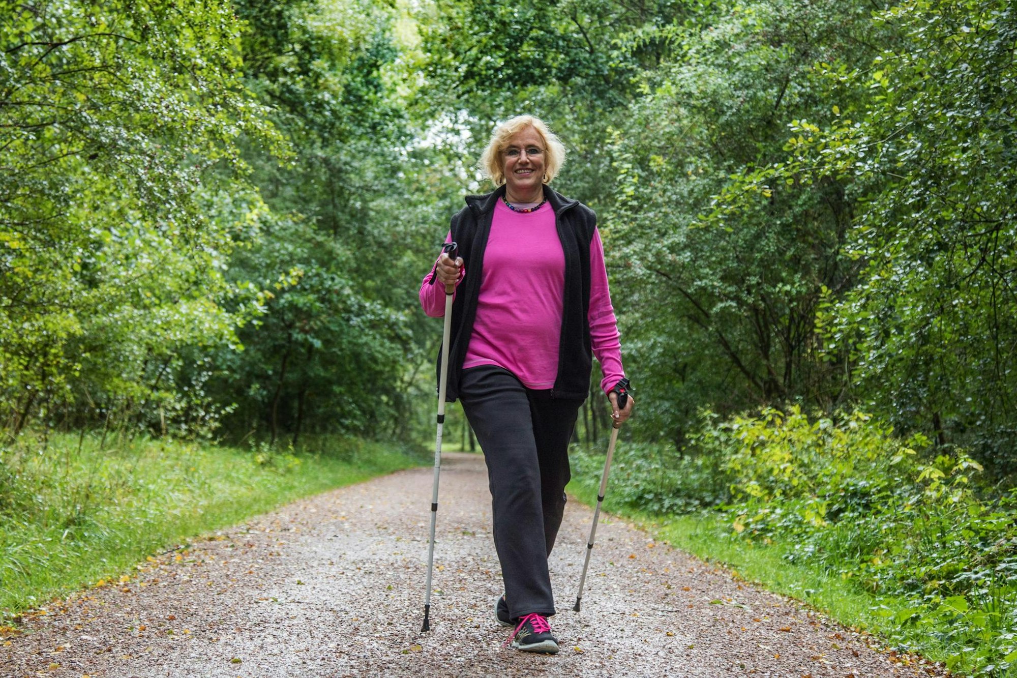 gehen verstehen wald