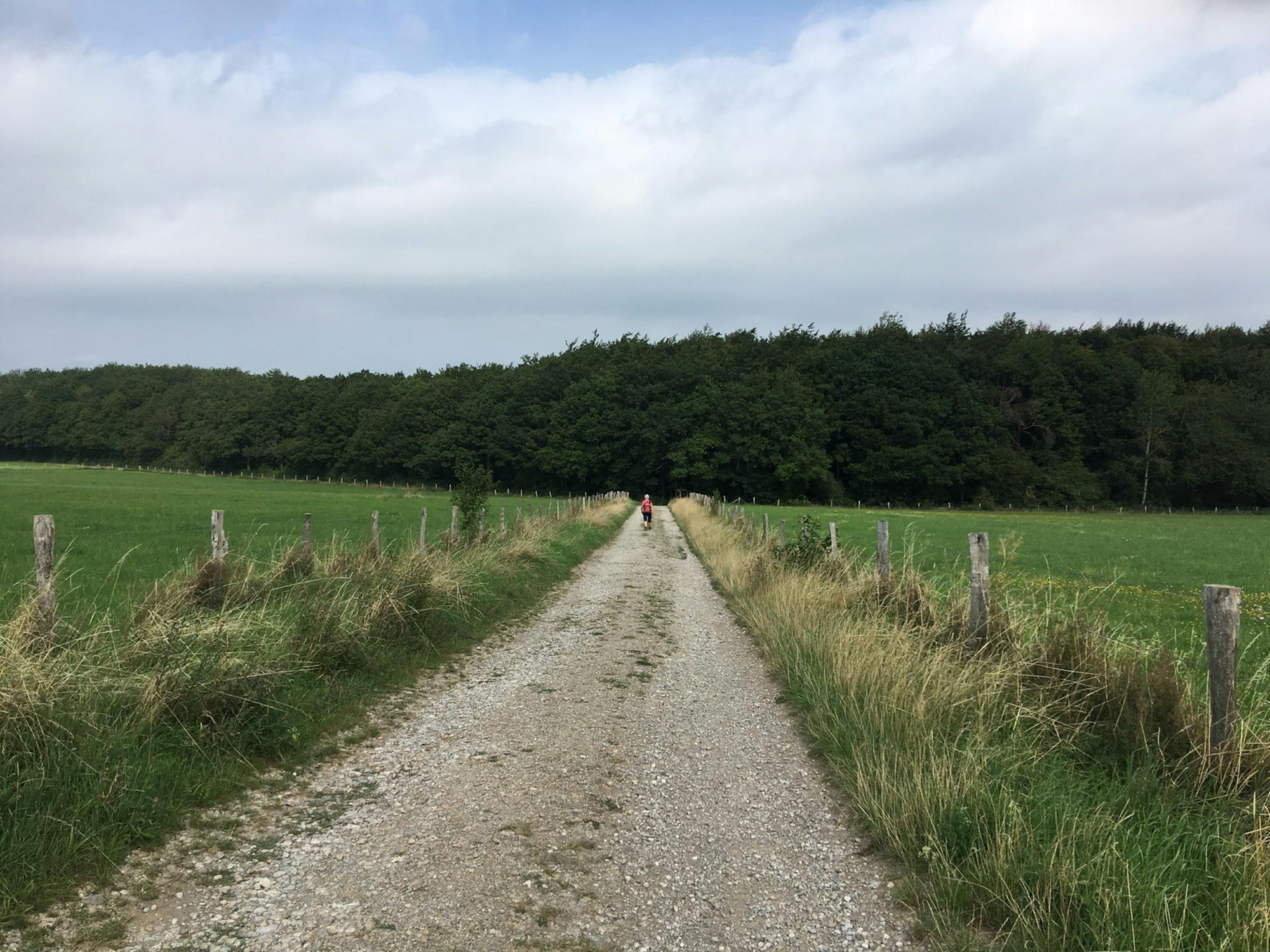 wildnis-trail_Etappe_4