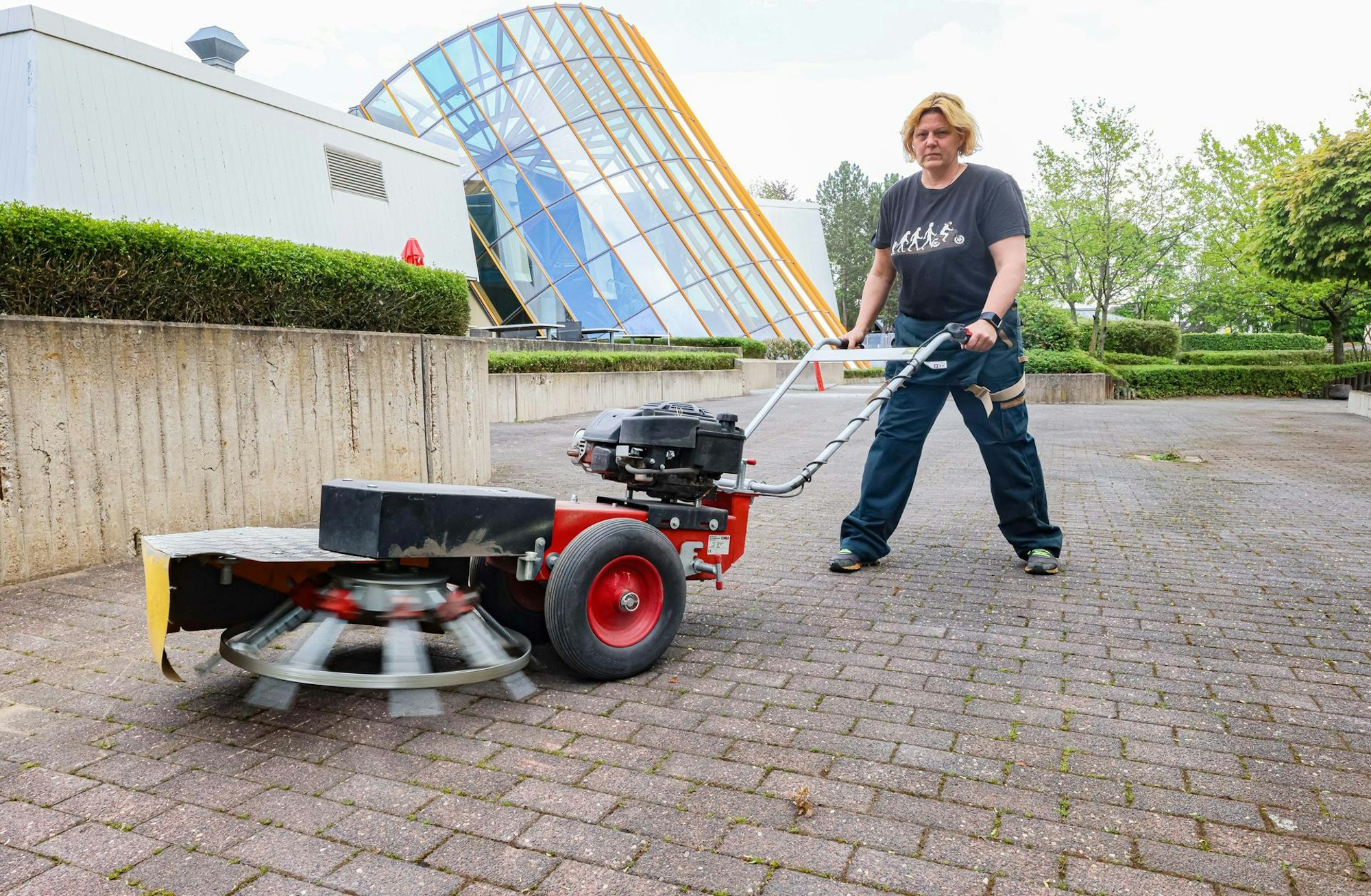 vorbereitung schwimmbad Bornheim 1