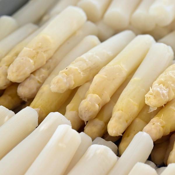 Spargel