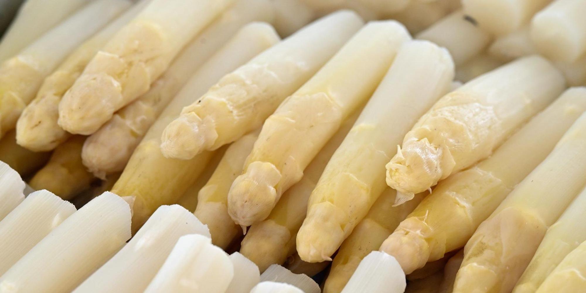 Spargel