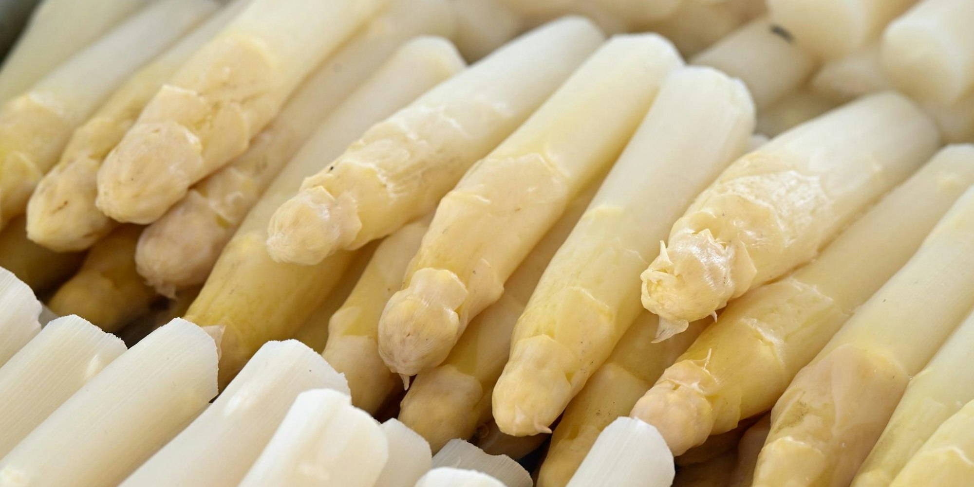Spargel
