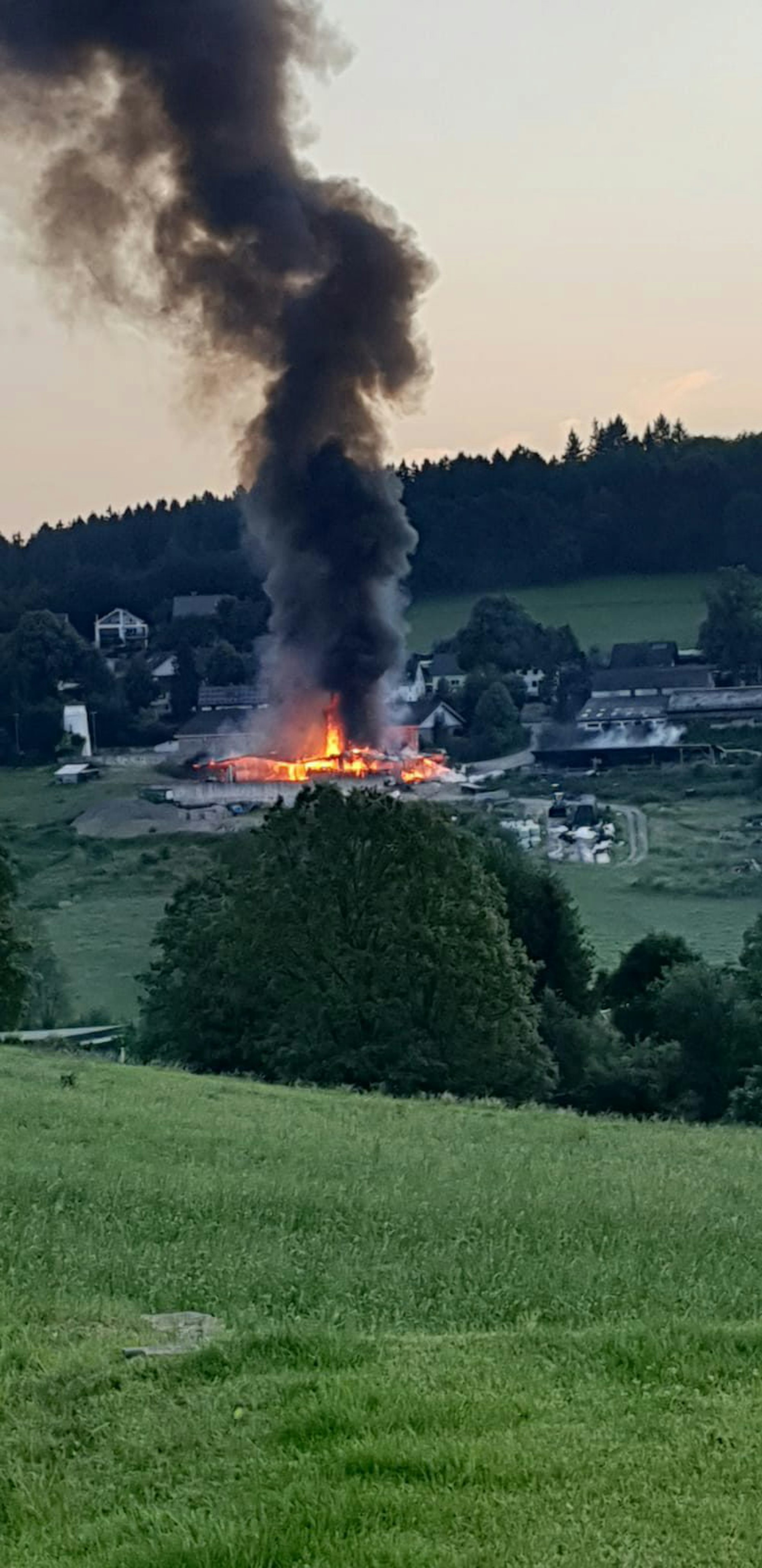 Lindlar Feuer 4