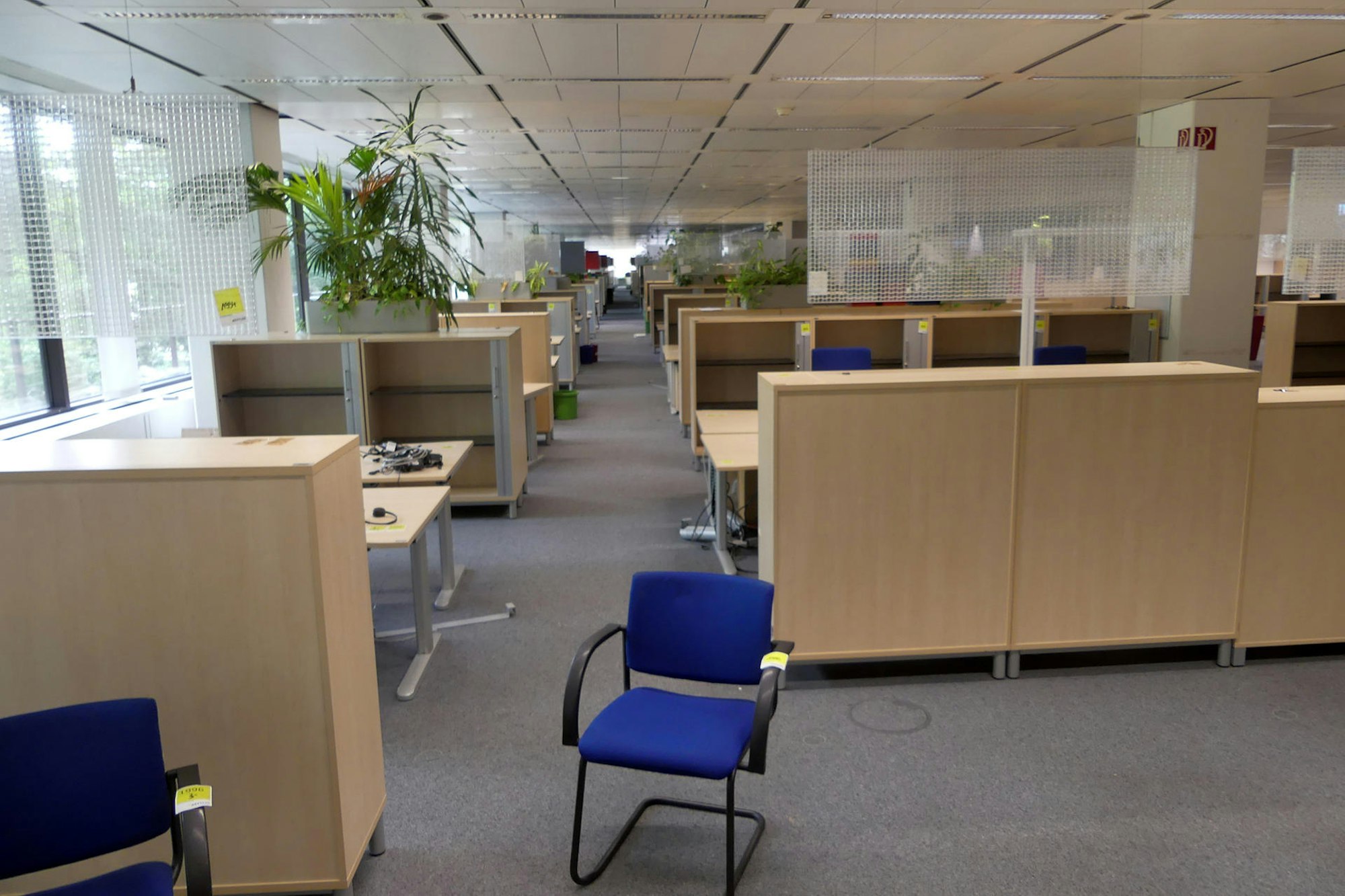 roes-siemens-versteigerung-002