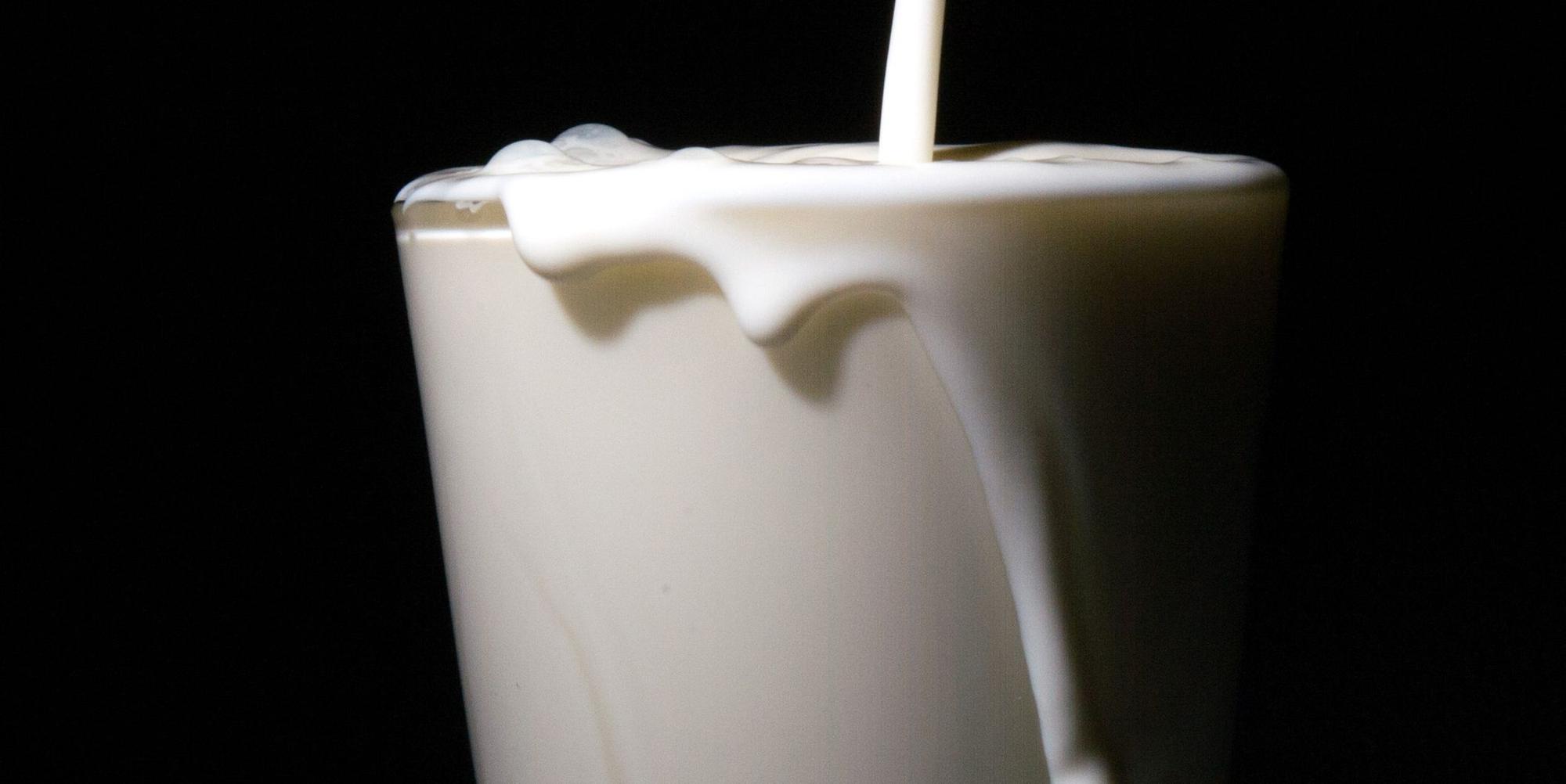 B_Glas Milch_250916