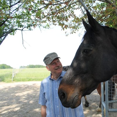 Pferd Kortschlag