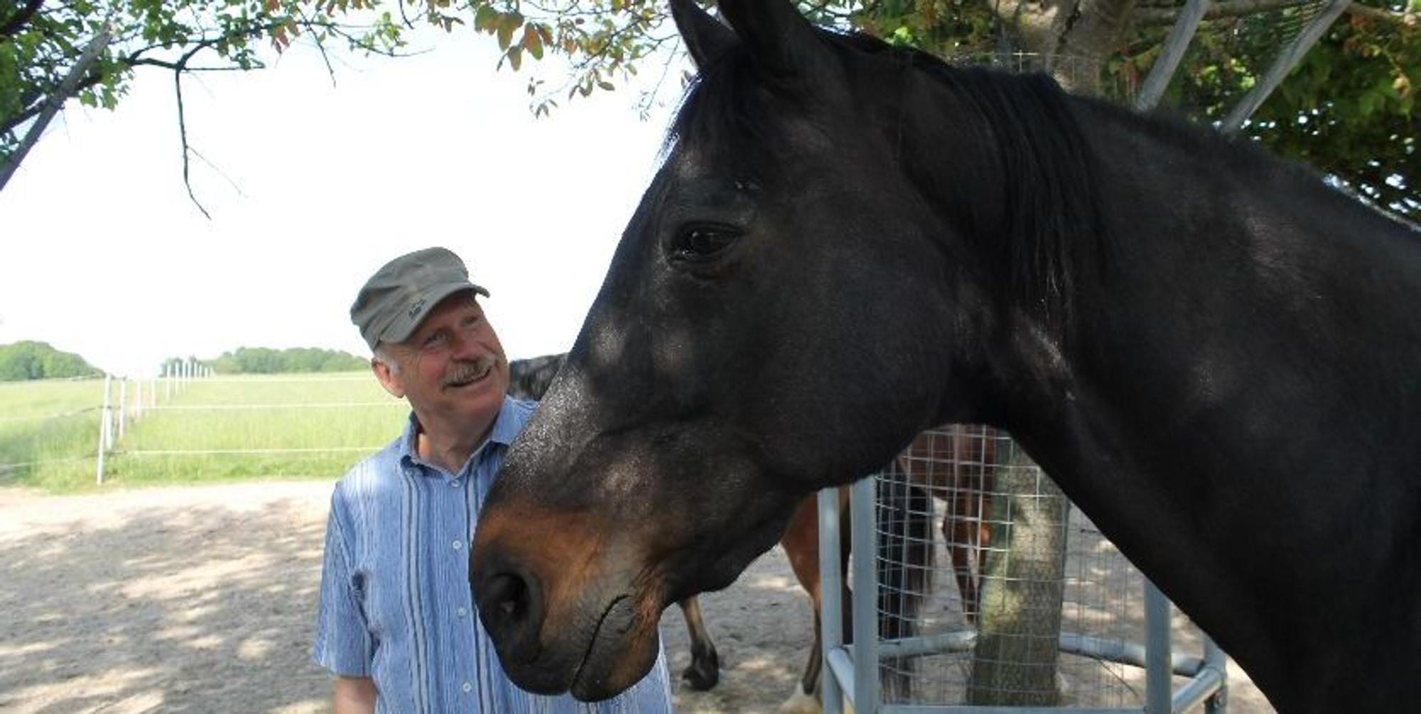 Pferd Kortschlag