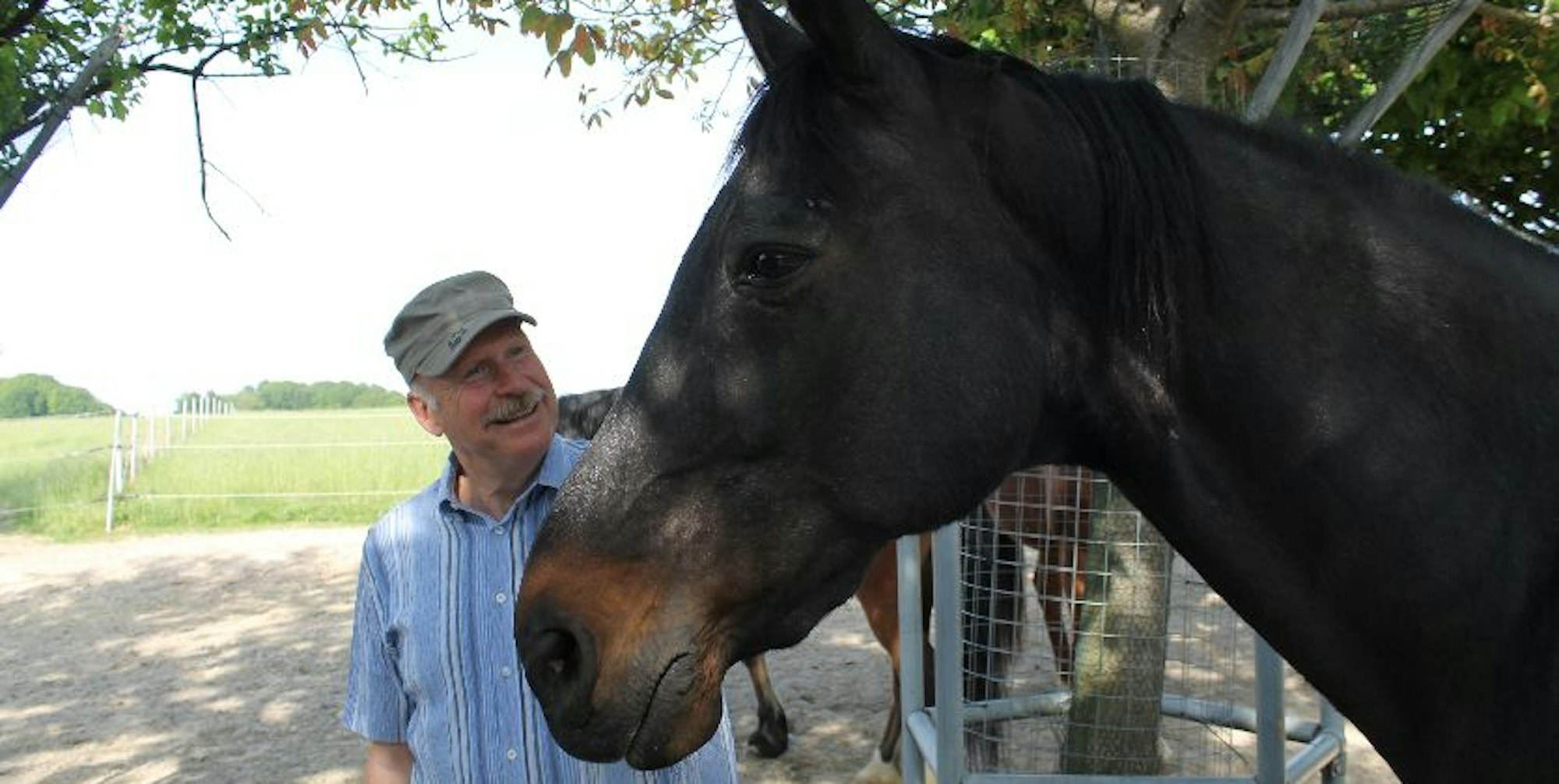 Pferd Kortschlag