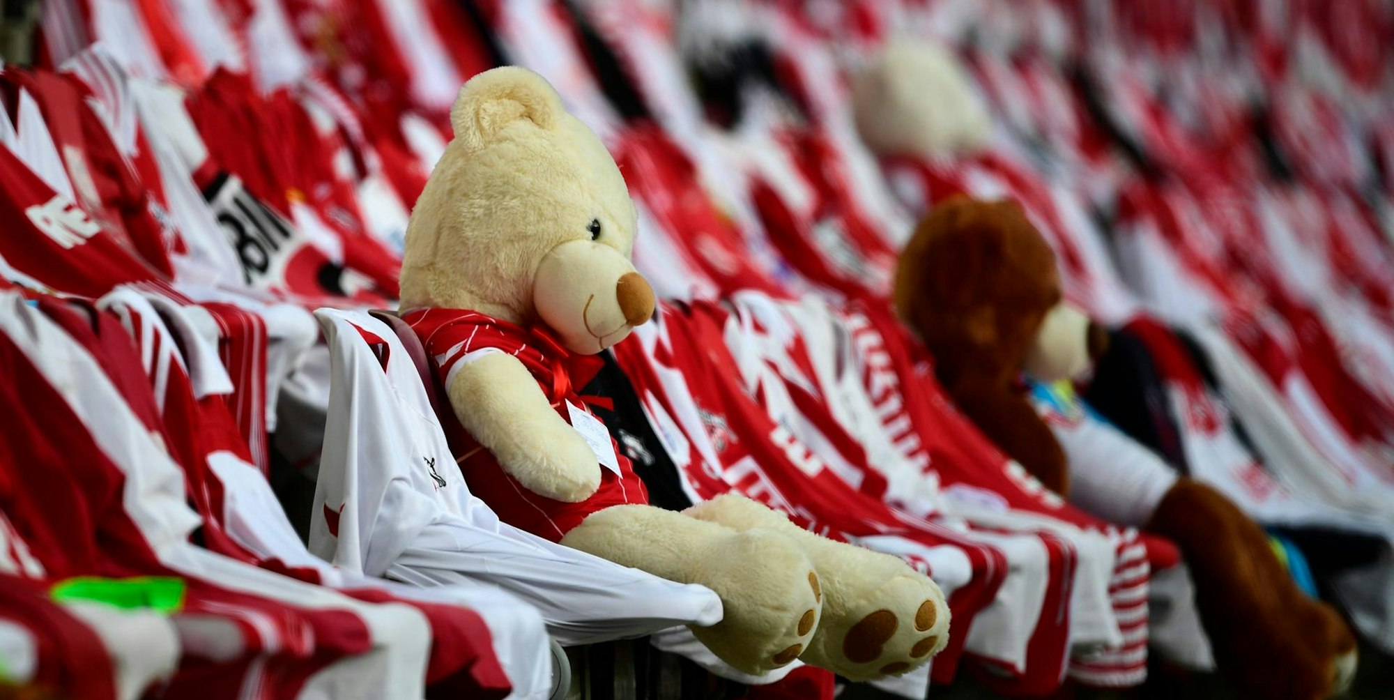 Teddy im Stadion