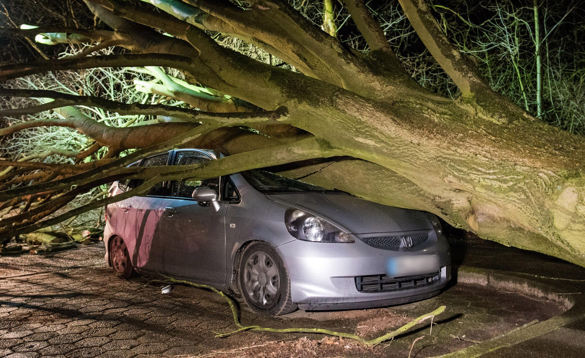 Sabine Sturm dpa neu