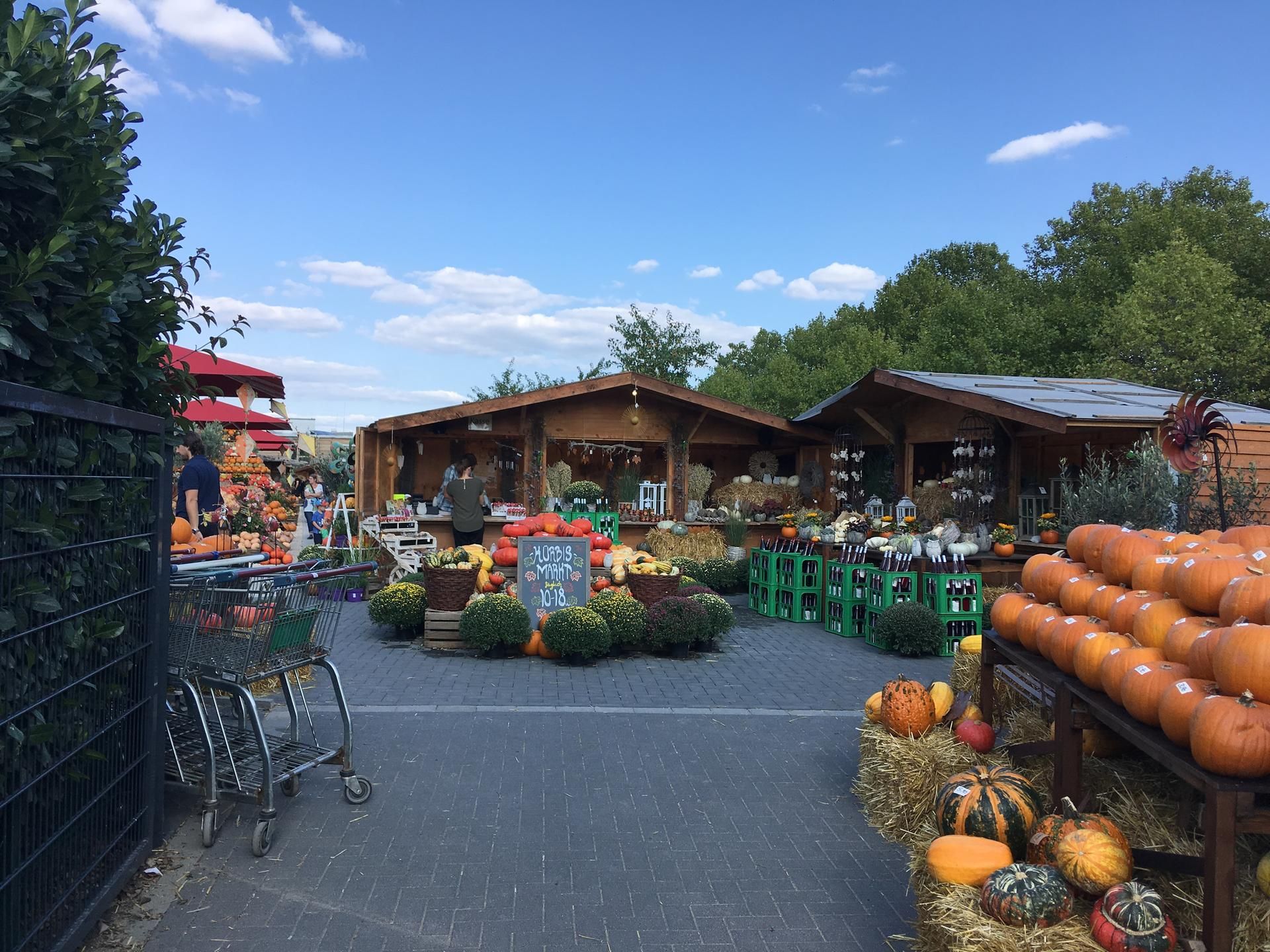 Kürbismarkt auf dem Gertrudenhof. (Archivbild)