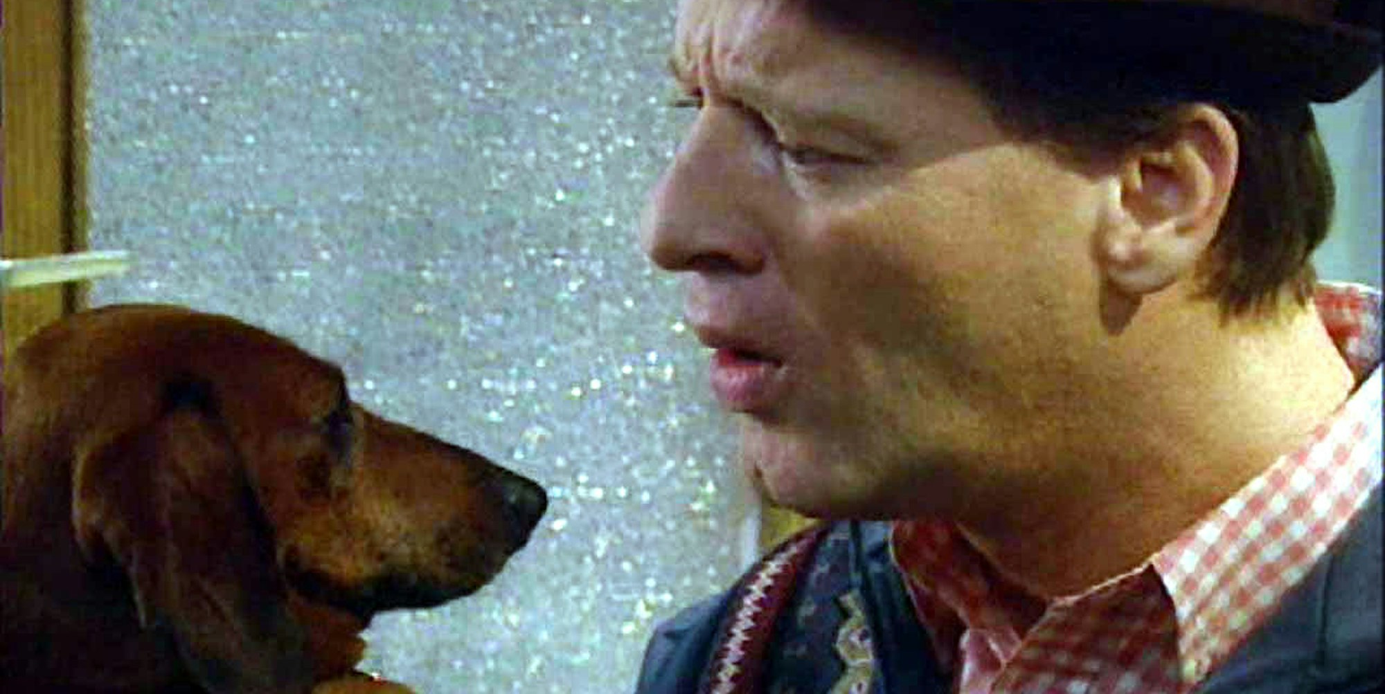 Hausmeister Krause dpa