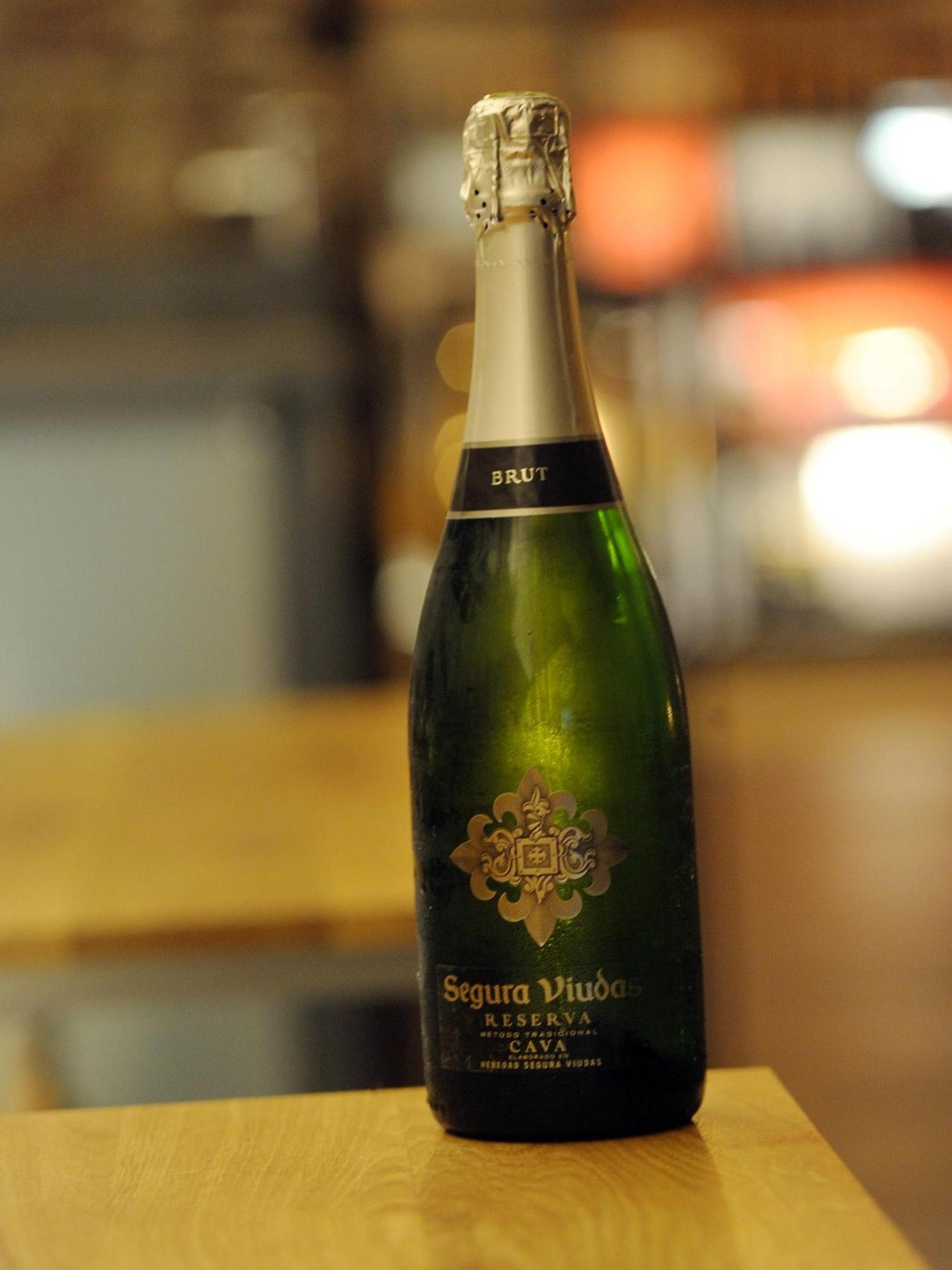 031221prickelwasser009