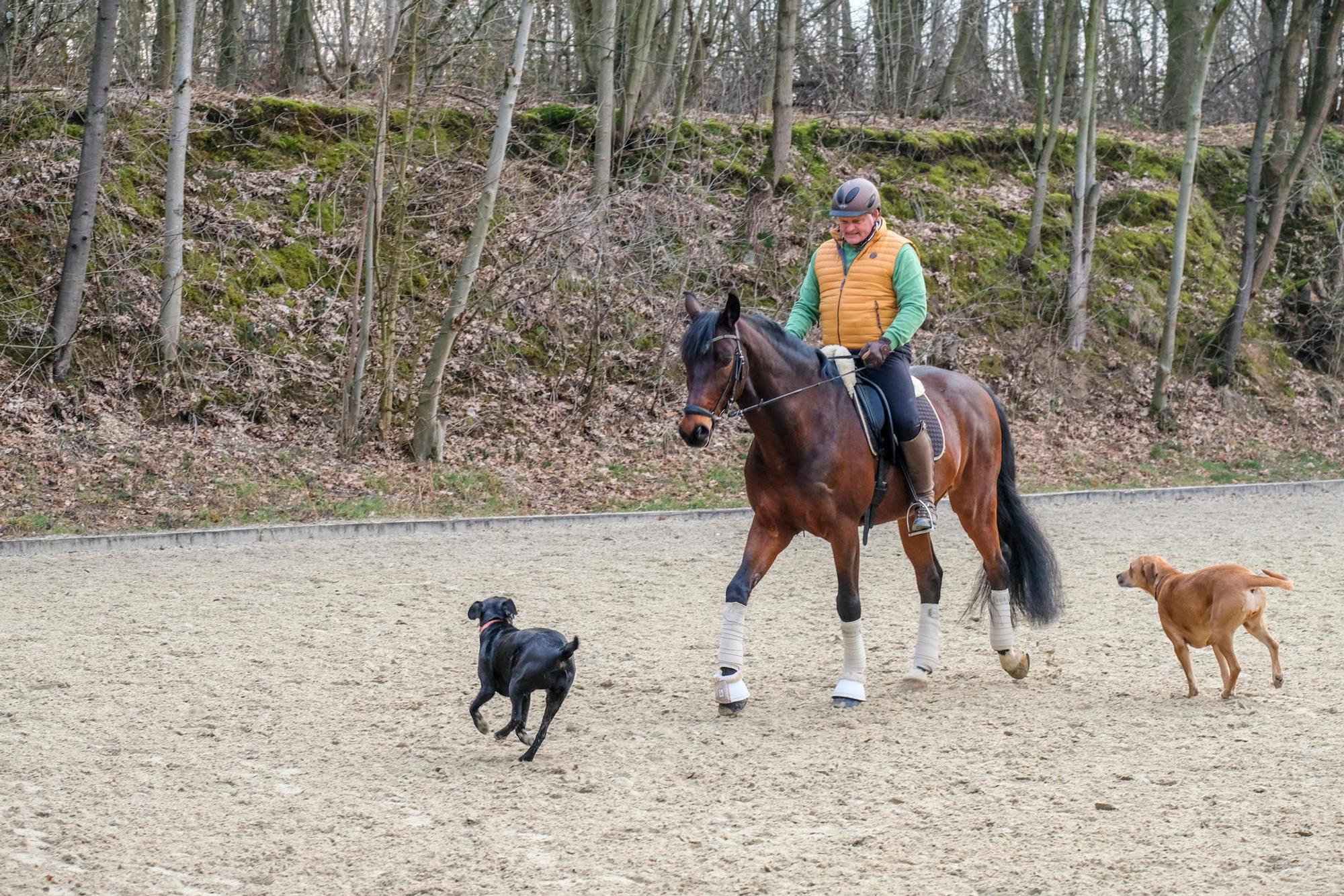20190221_Jennes_HGM_09