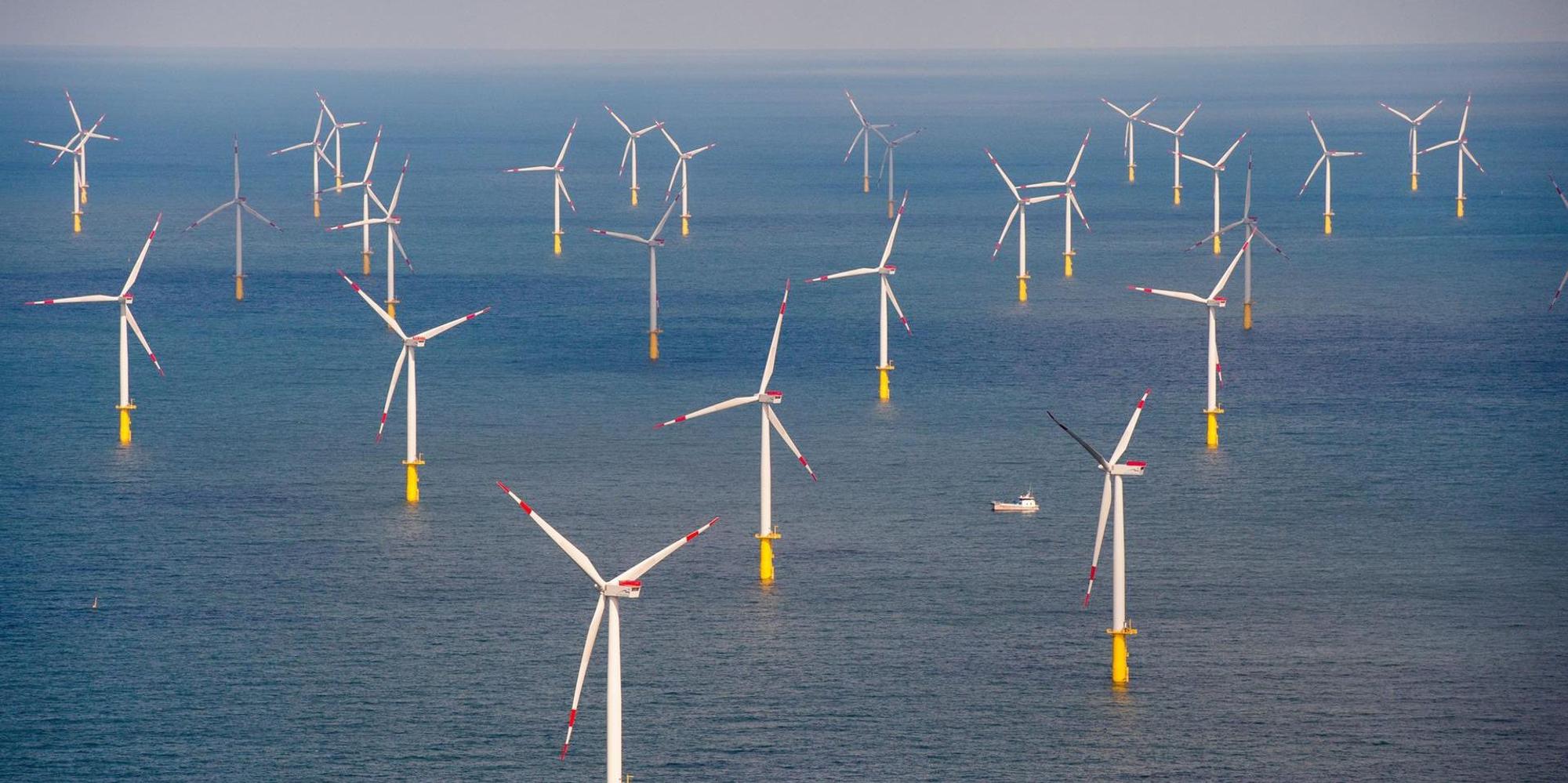 Windkraft 010222