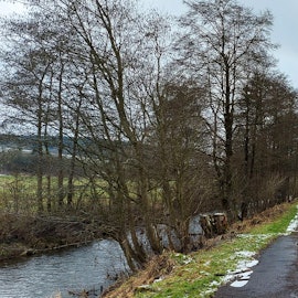 Wanderweg dahlem_001