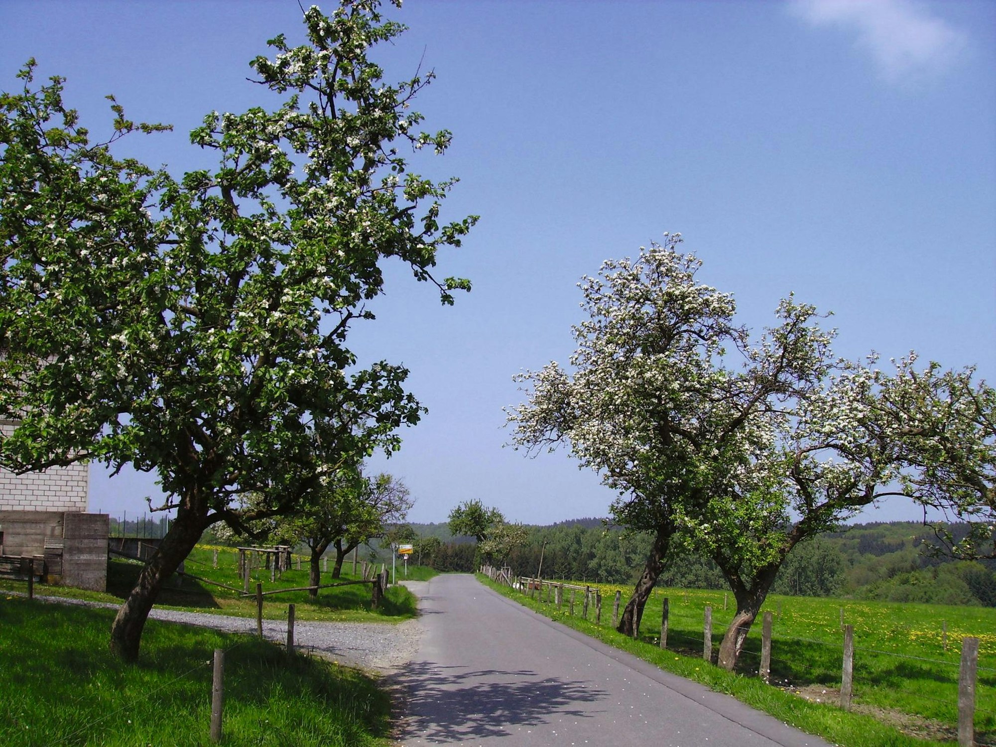 Etappe15 - 01a_ObstblueteNUR_MIT_BUCH_VERWENDEN