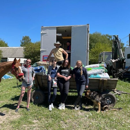 Pferde aus der Ukraine (1)