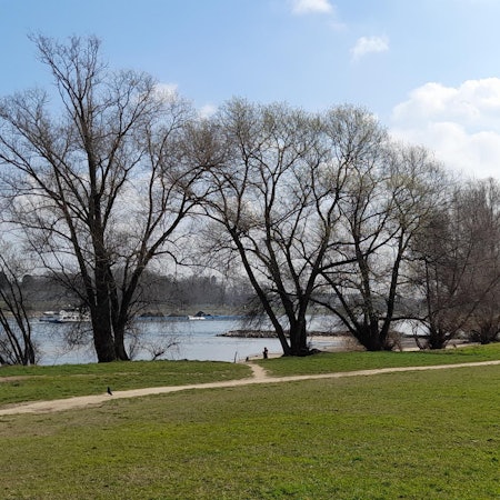 bes-niehl-rundgang05