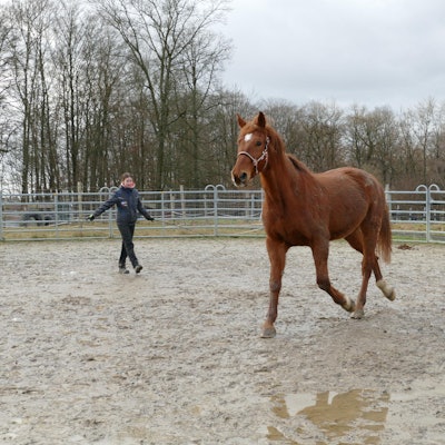 20220121-mfu-Hof-Huppenhardt-Franz Pferdinand macht Training