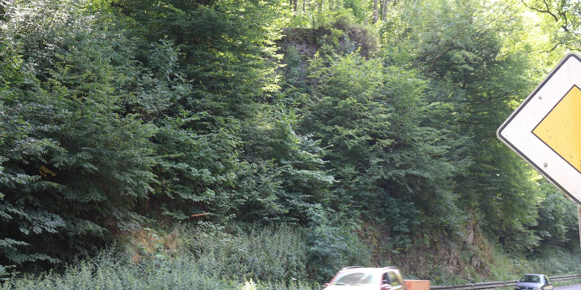 Bieberstein1 (1)