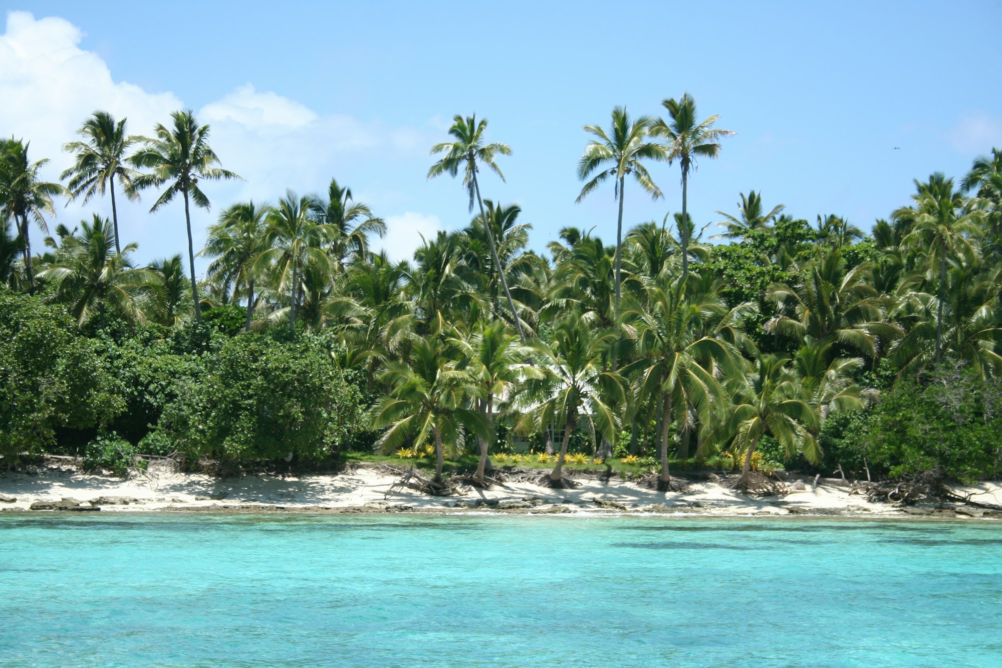 Inselansicht (c) Hoffmann