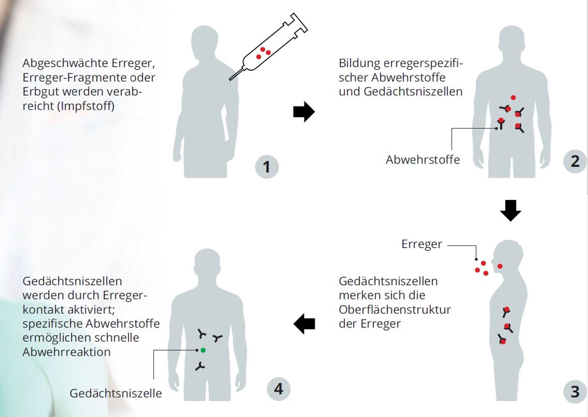 Neuer Inhalt