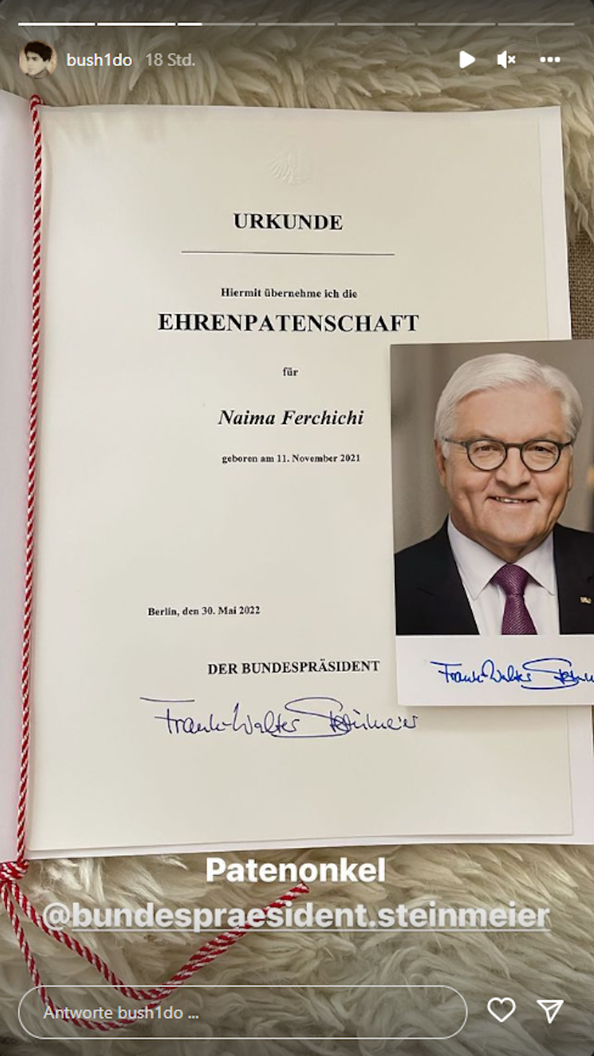 Bushido Steinmeier