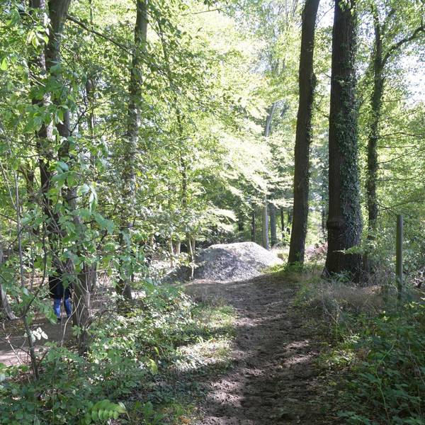 Reitweg Diepeschrather Forst