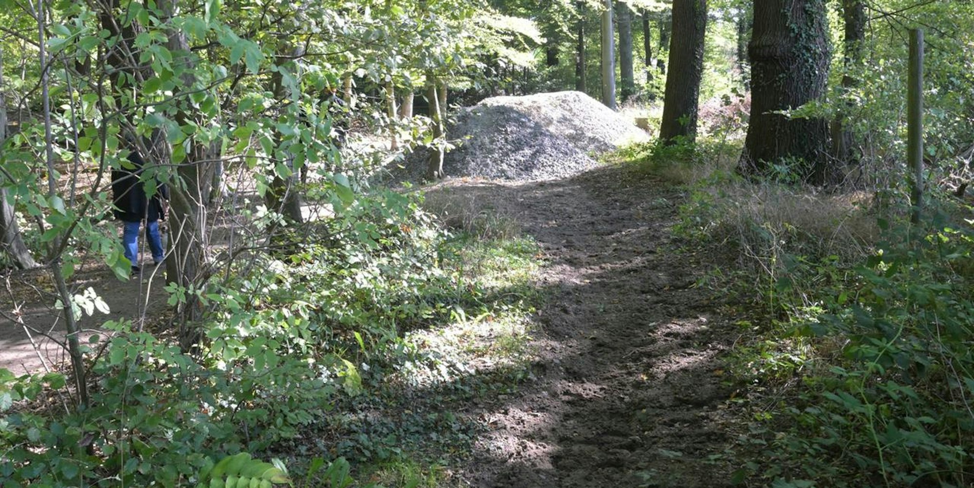 Reitweg Diepeschrather Forst