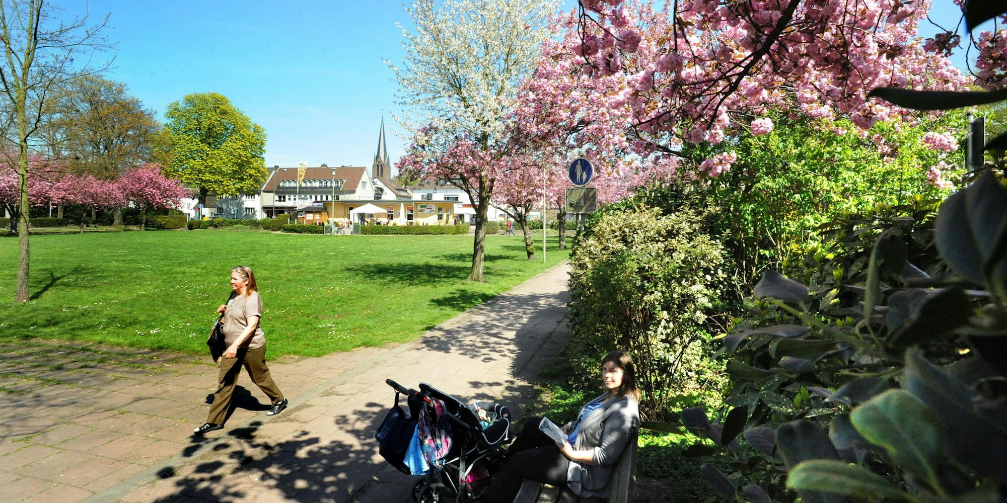 Stadtpark mit Blüte