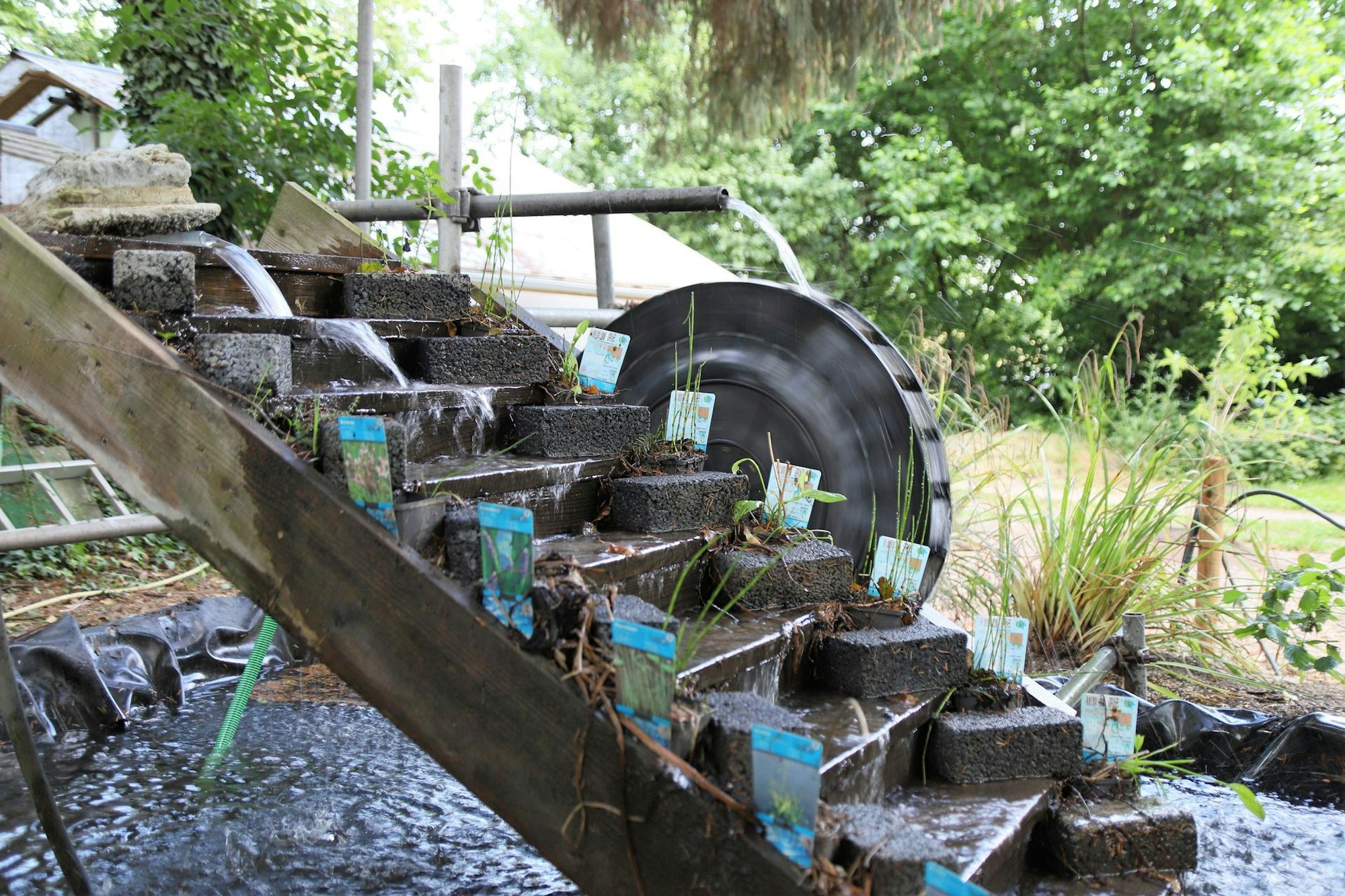 Garten-LOH-Fischer_4408