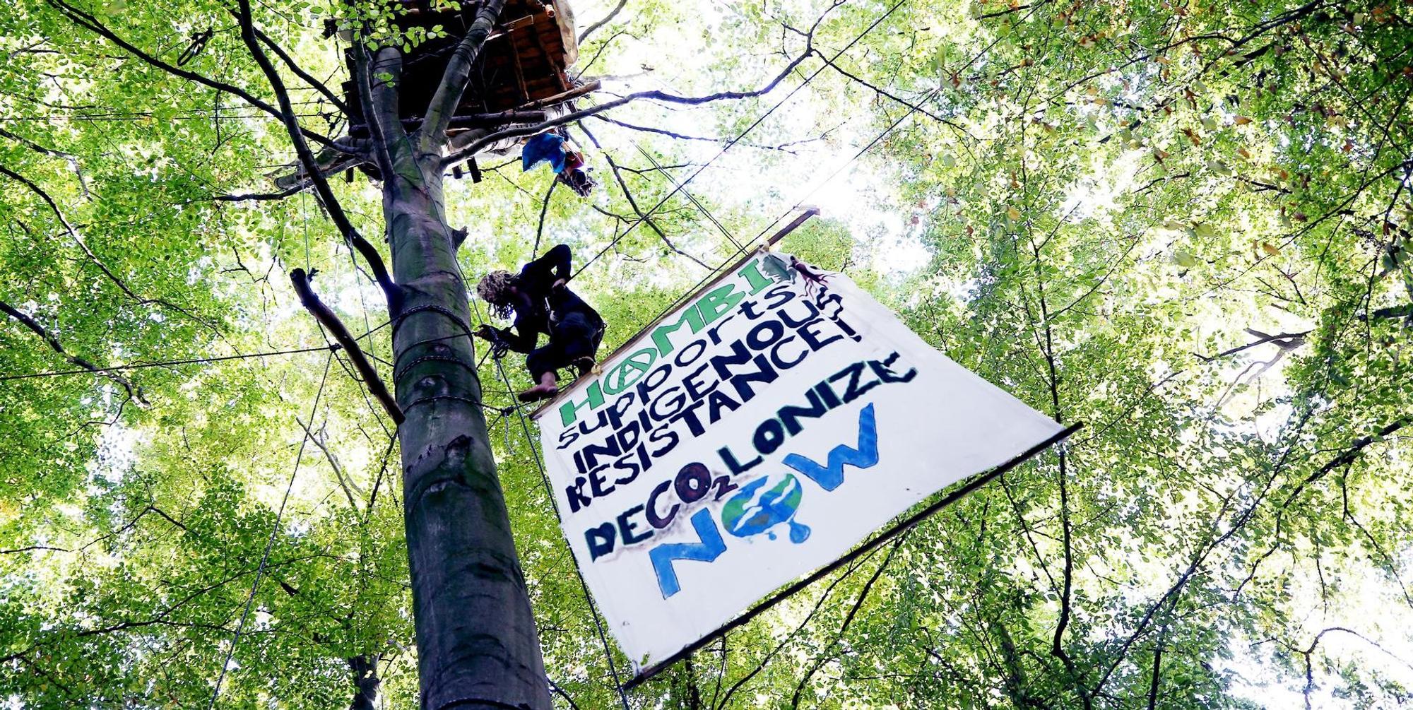 proteste Hambach dpa