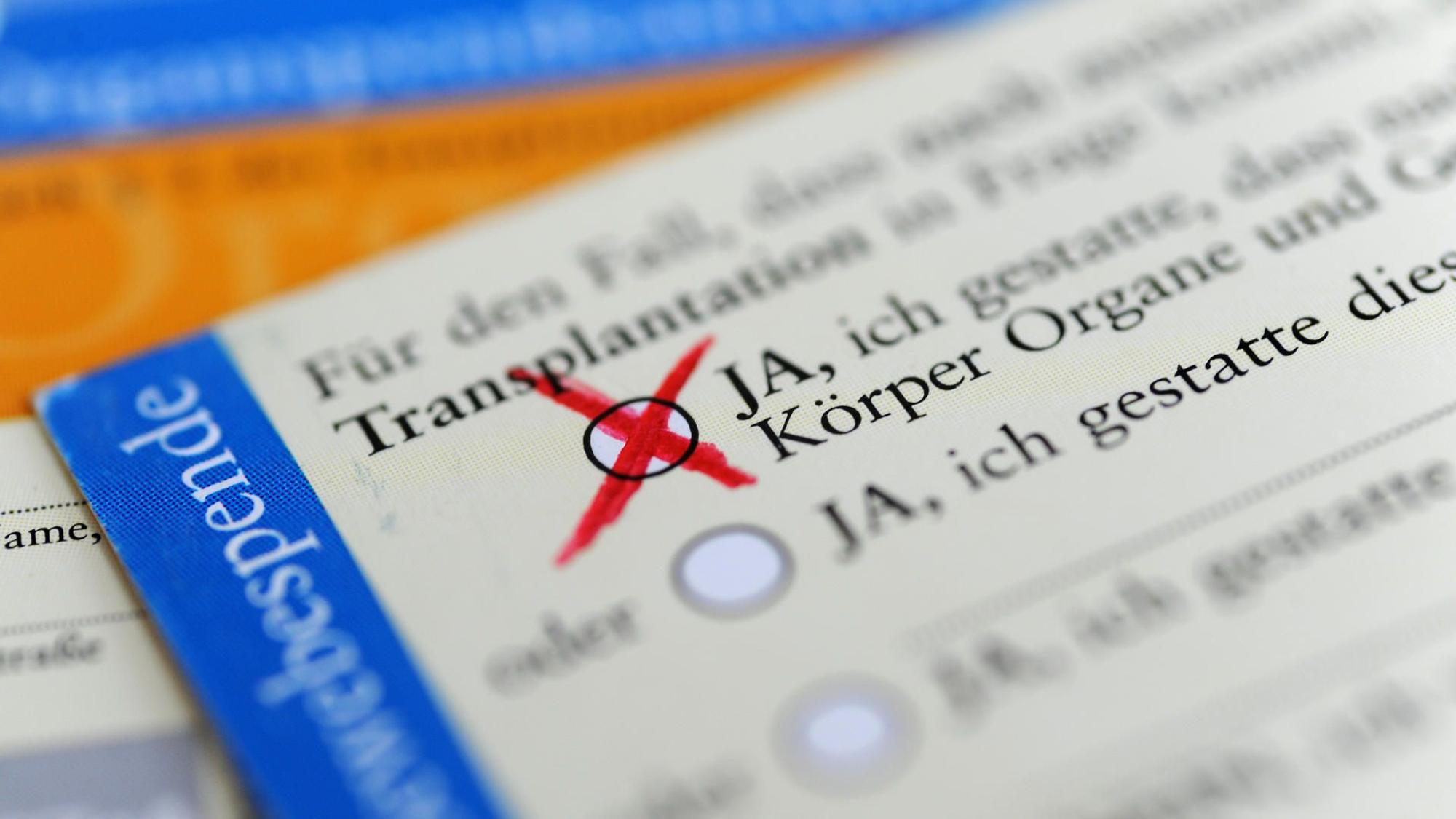 Organspende
