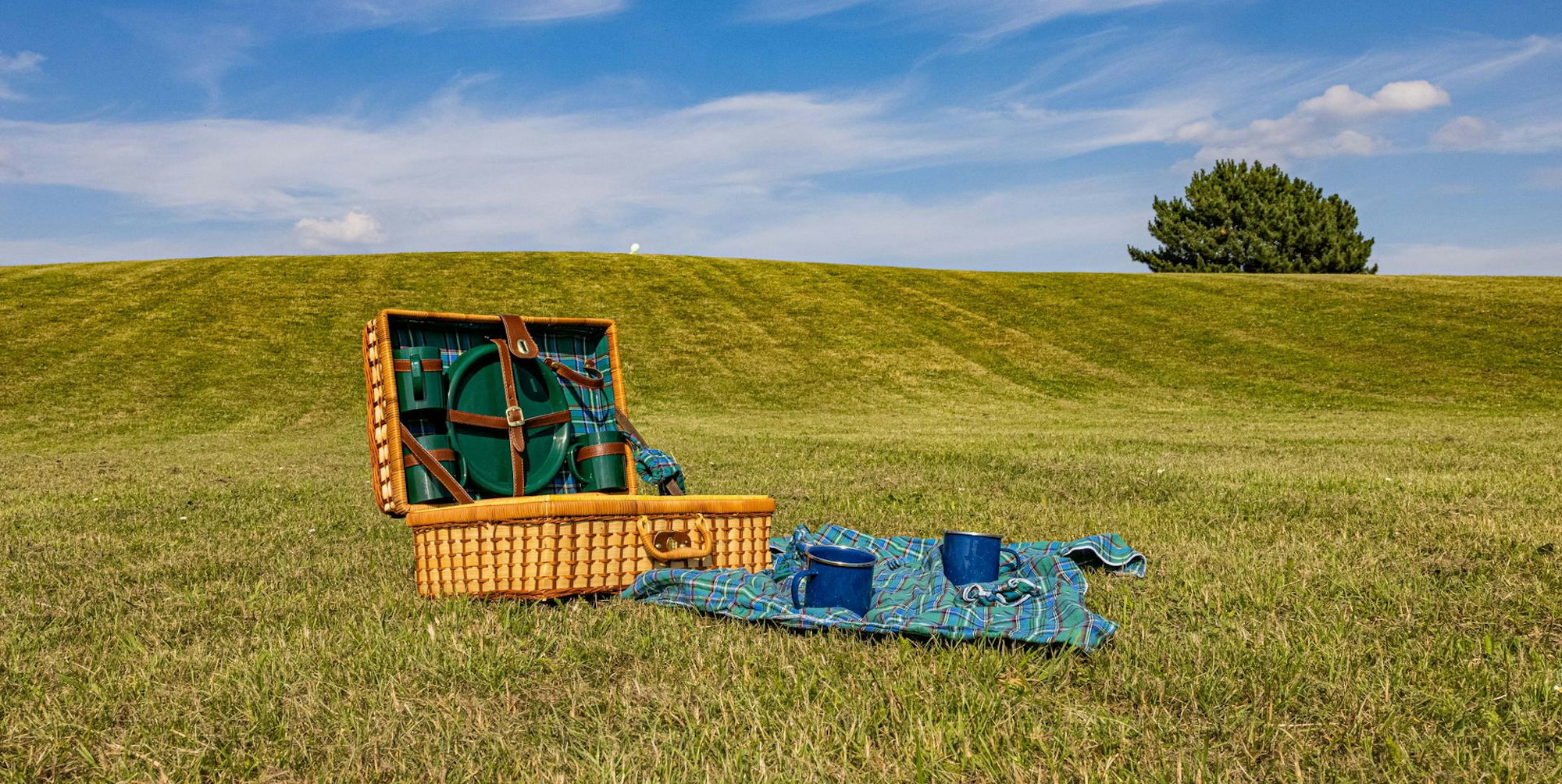 Picknick_Forstbotanischer_Garten_Aufmacher__mbo-5