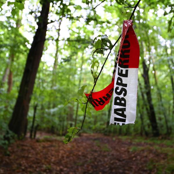 abgerissene Polizeiabsperrband im Wald am tag