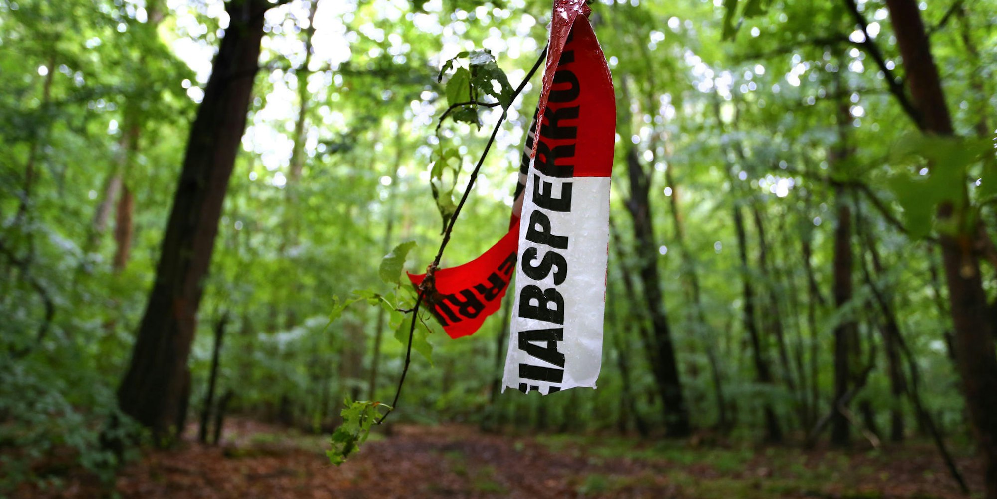 abgerissene Polizeiabsperrband im Wald am tag