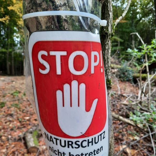 Neuer Inhalt