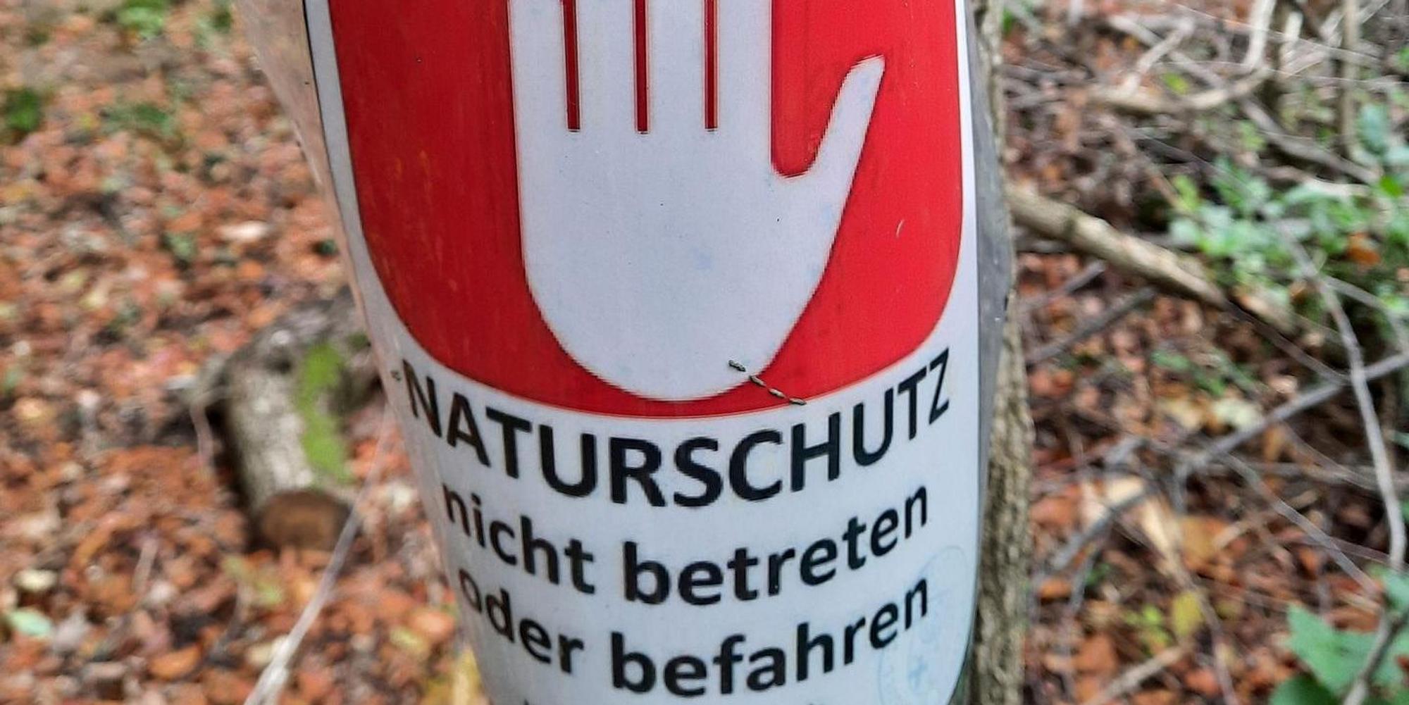 Neuer Inhalt