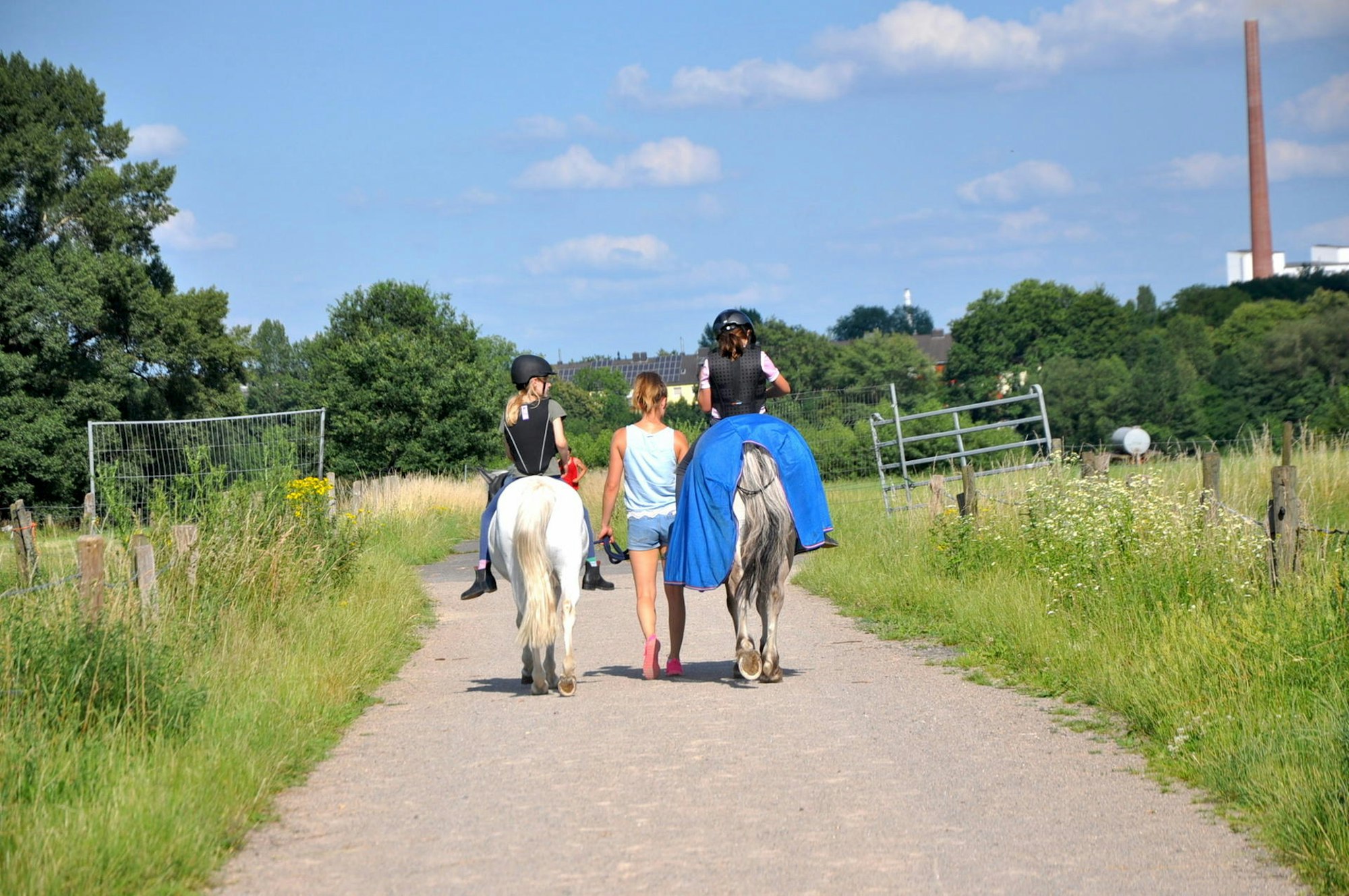 VC_WEisz_kein_seltens_Bild_2