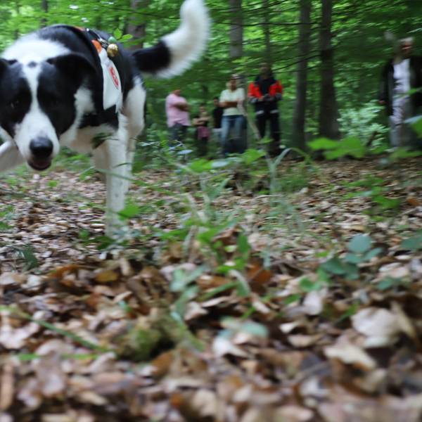 Neuer Inhalt (1)
