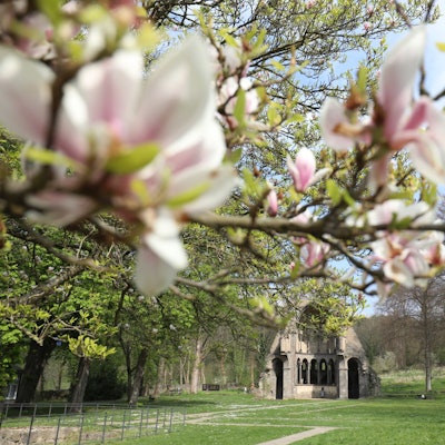 Kloster_Heisterbach1
